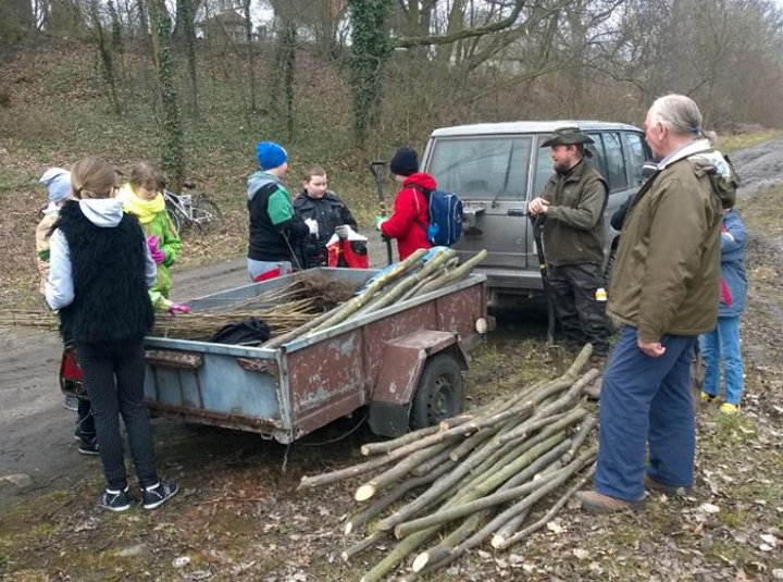 Akcja "Zielonym do góry"