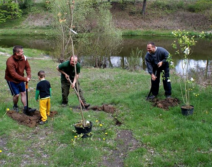 Sadzenie drzew przy ulicy Portowej