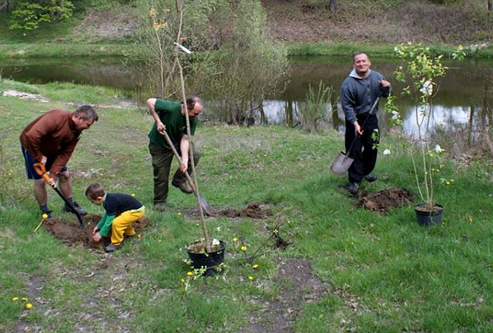 Sadzenie drzew przy ulicy Portowej