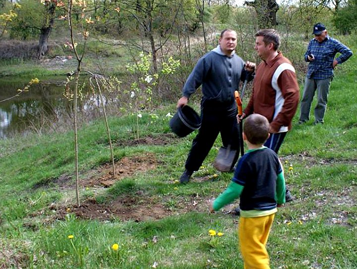 Sadzenie drzew przy ulicy Portowej