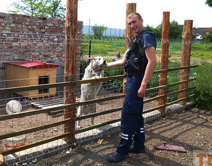 Kontrole i rekontrole wrocławskiego TOZ-u