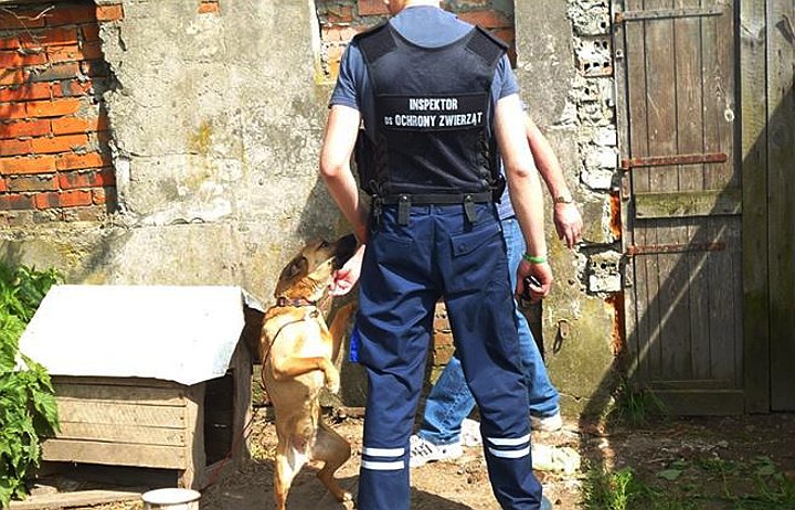 Kontrole i rekontrole wrocławskiego TOZ-u