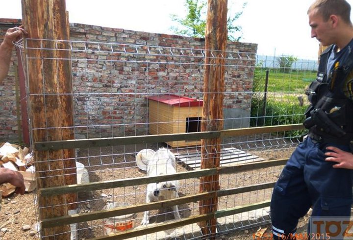 Kontrole i rekontrole wrocławskiego TOZ-u