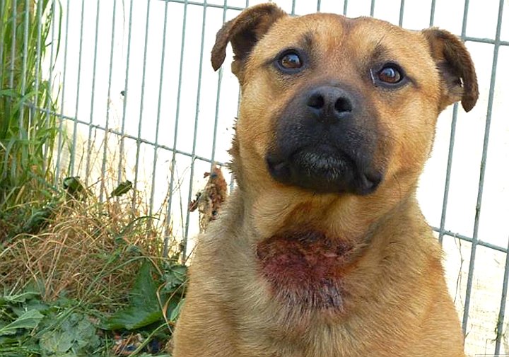 Kontrole i rekontrole wrocławskiego TOZ-u