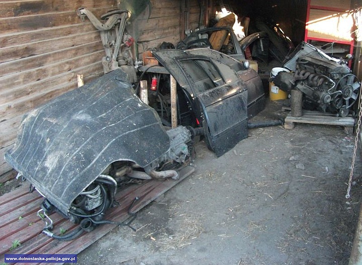 W dziupli rozmontowywano auta na części