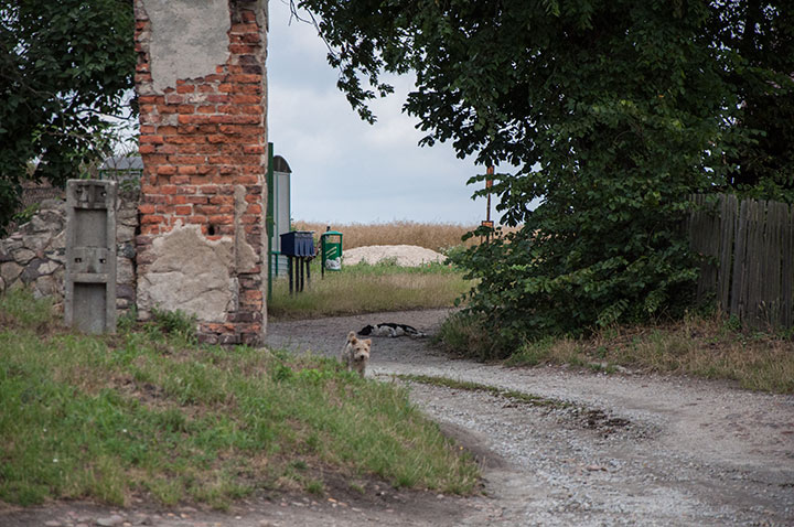 Na terenie placu zabaw nie ma piaskownicy. Dzieci korzystają z usypanej górki znajdującej się przy jednej z prywatnej posesji