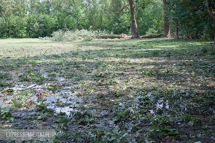 Ramułtowice (gm. Kostomłoty). Fragment zniszczonego przez grad boiska