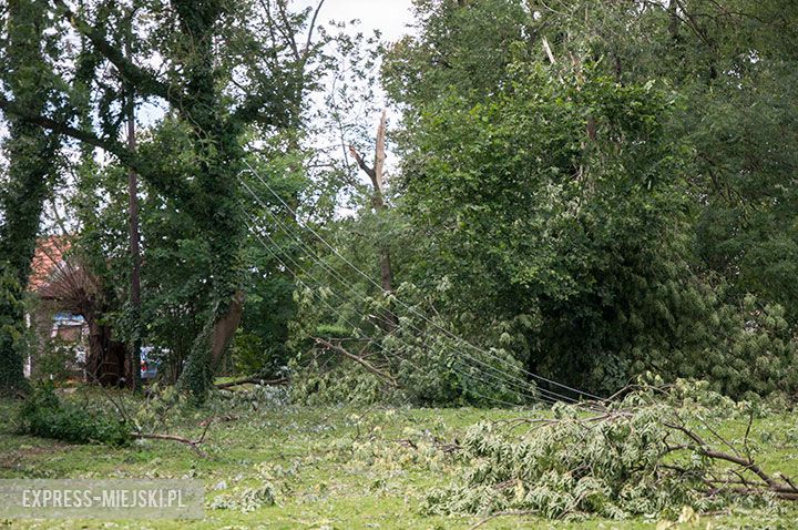 Ramułtowice (gm. Kostomłoty). Park