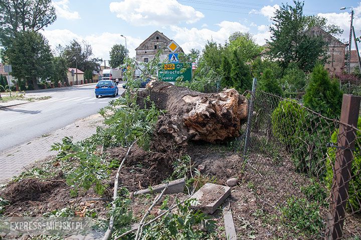 Rakoszyce (gm. Środa Śląska)