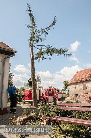 Rakoszyce (gm. Środa Śląska). Połamane drzewo przy świetlicy wiejskiej