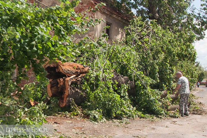 Rakoszyce (gm. Środa Śląska)