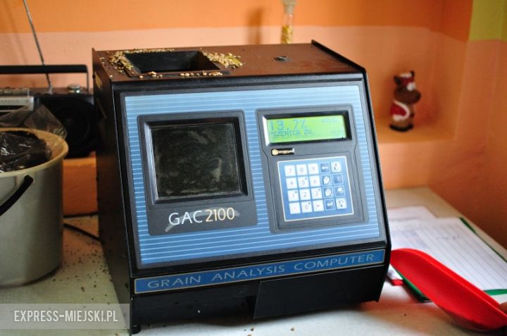 Test jakości pszenicy
