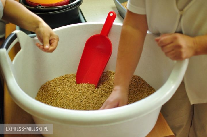 Test jakości pszenicy