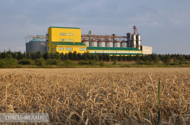 Skup zboża w Stolcu