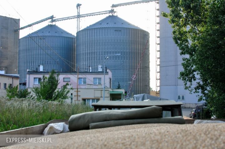 Skup zboża w Ząbkowicach Śląskich