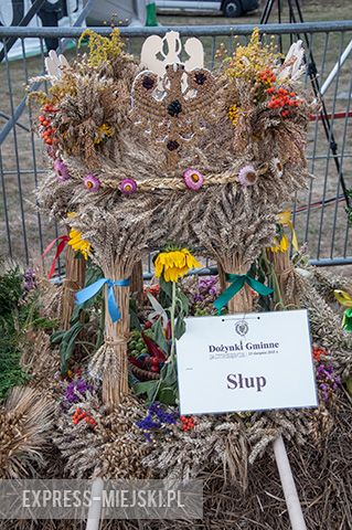 Dożynki w Jastrzębcach