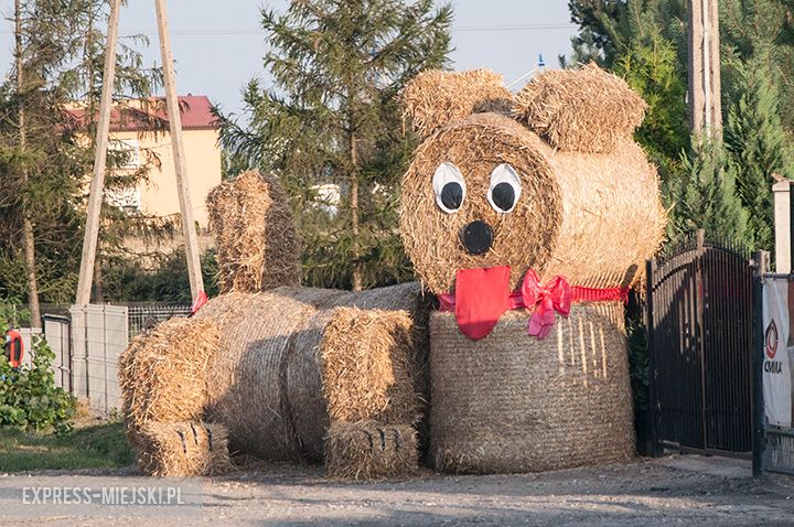 Dożynki w Malczycach