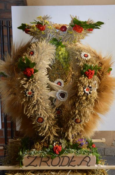 Szczepanów z nagrodą publiczności