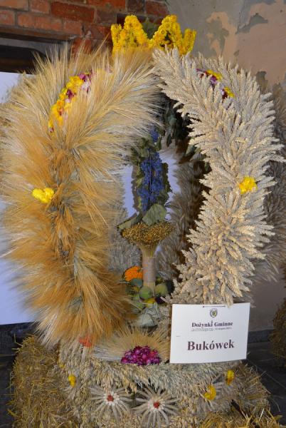 Szczepanów z nagrodą publiczności