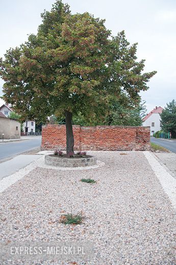 Odrestaurowany plac ze starą lipą