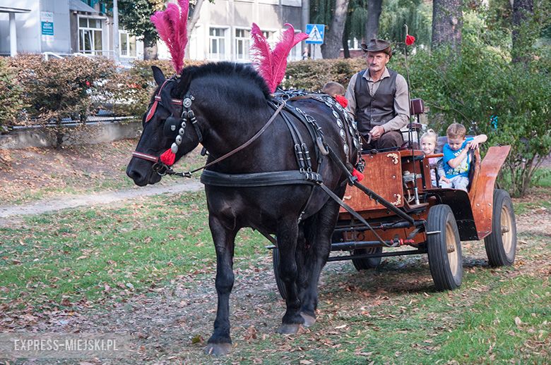 Festyn dla dzieci - Policja Dzieciom