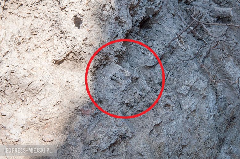 Fragmenty kości pod budynkiem mieszkalnym