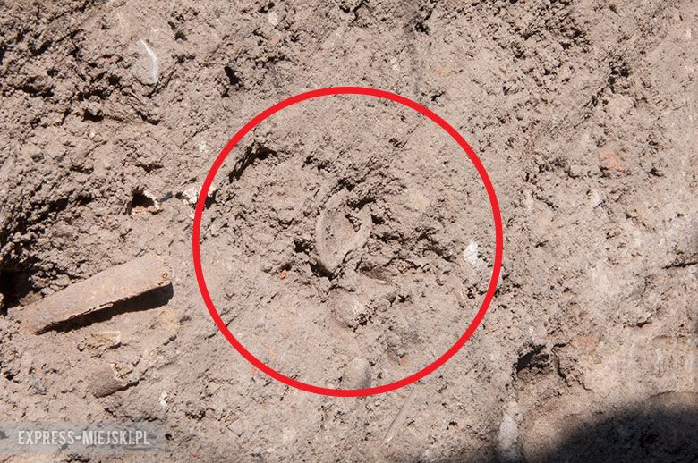 Fragmenty kości pod budynkiem mieszkalnym