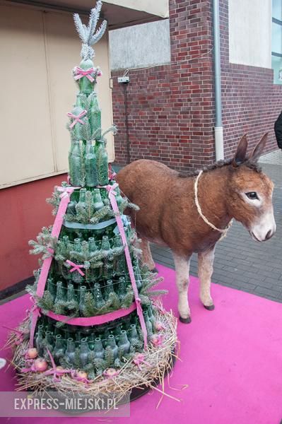 Bożonarodzeniowa instalacja w Lutyni