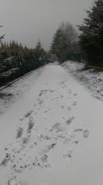 Stan dróg wewnętrznych uniemożliwia odbiór odpadów