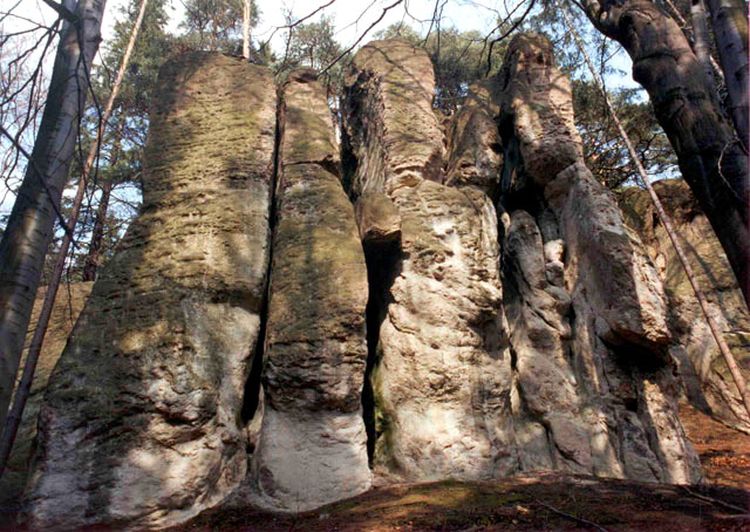 Harcerze zapraszają na ciekawe wycieczki