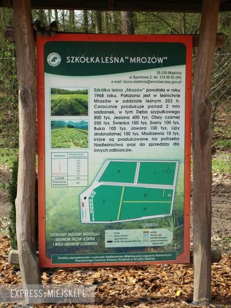 Święto Lasu w Mrozowie