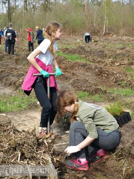 Święto Lasu w Mrozowie