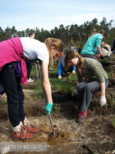 Święto Lasu w Mrozowie