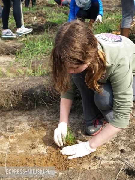 Święto Lasu w Mrozowie