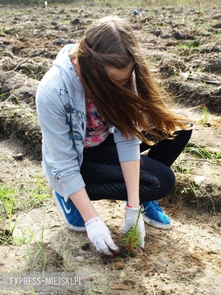 Święto Lasu w Mrozowie
