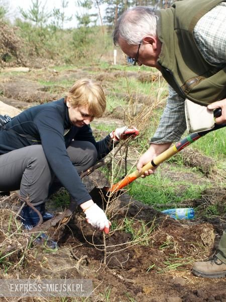 Święto Lasu w Mrozowie