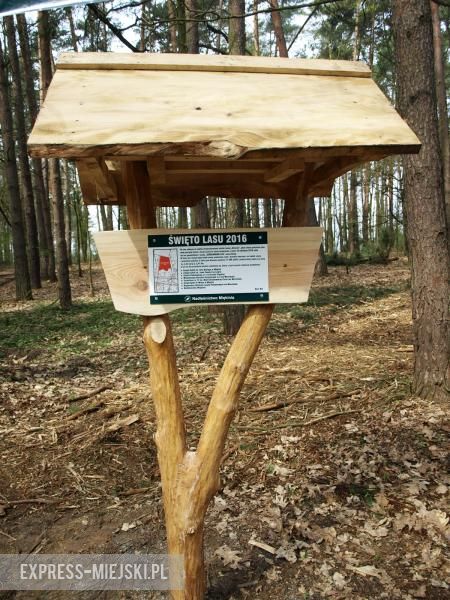 Święto Lasu w Mrozowie