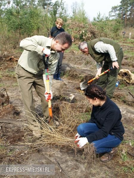 Święto Lasu w Mrozowie