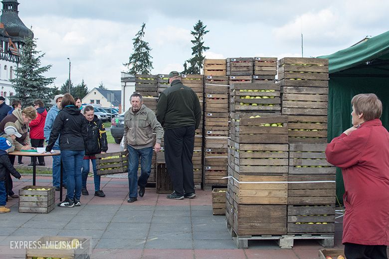 Akcja rozdawania bezpłatnych jabłek w Miękini