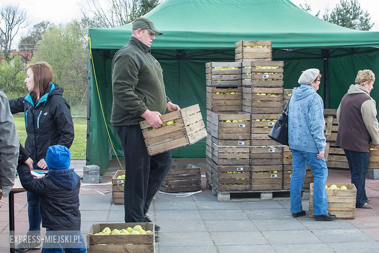 Akcja rozdawania bezpłatnych jabłek w Miękini