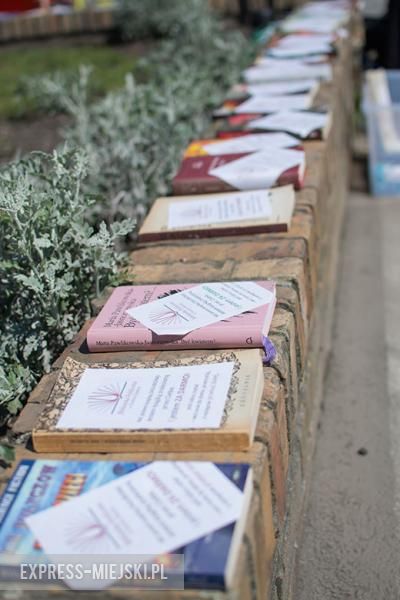 Średzka odNowa w Środzie Śląskiej