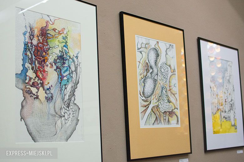 Noc w muzeum w Środzie Śląskiej