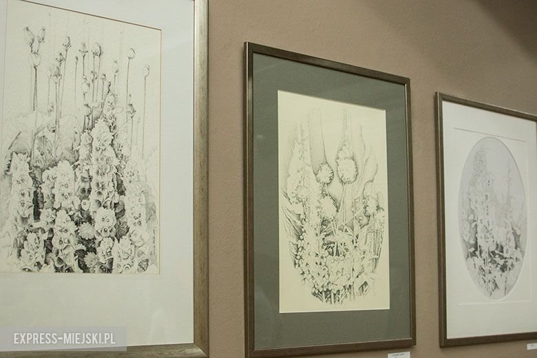 Noc w muzeum w Środzie Śląskiej