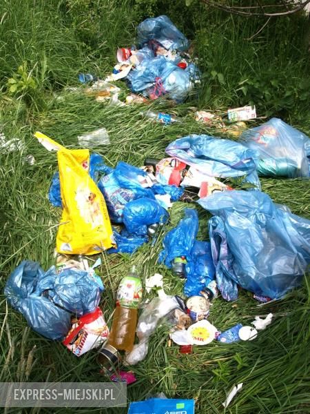 Dzikie wysypisko śmieci