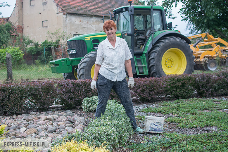 Sprzątanie Bukówka