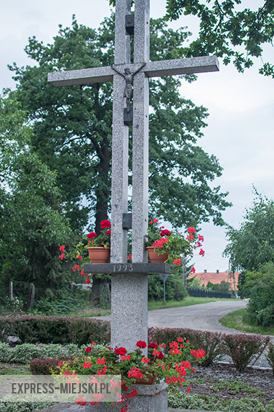 Sprzątanie Bukówka