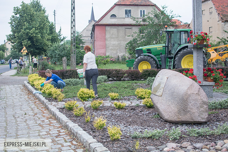 Sprzątanie Bukówka