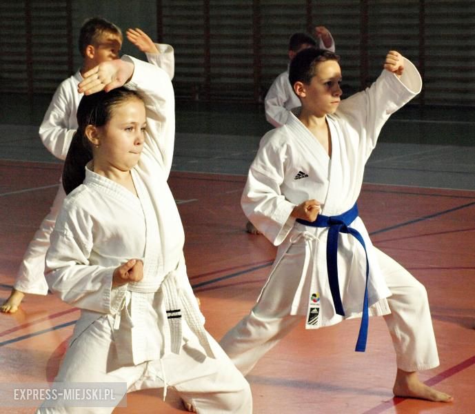 Karate Budokan sekcja Środa Śląska