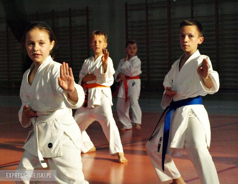 Karate Budokan sekcja Środa Śląska