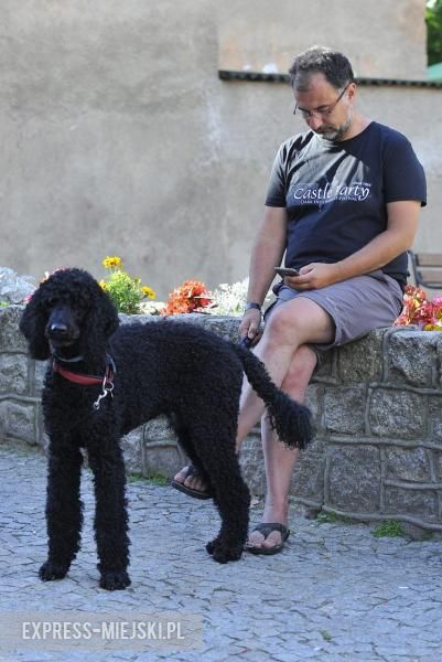 Taka była atmosferra podczas festiwalu Castle Party 2016